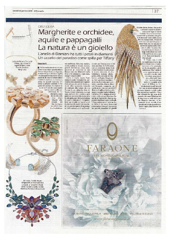 Il giornale gennaio 2018